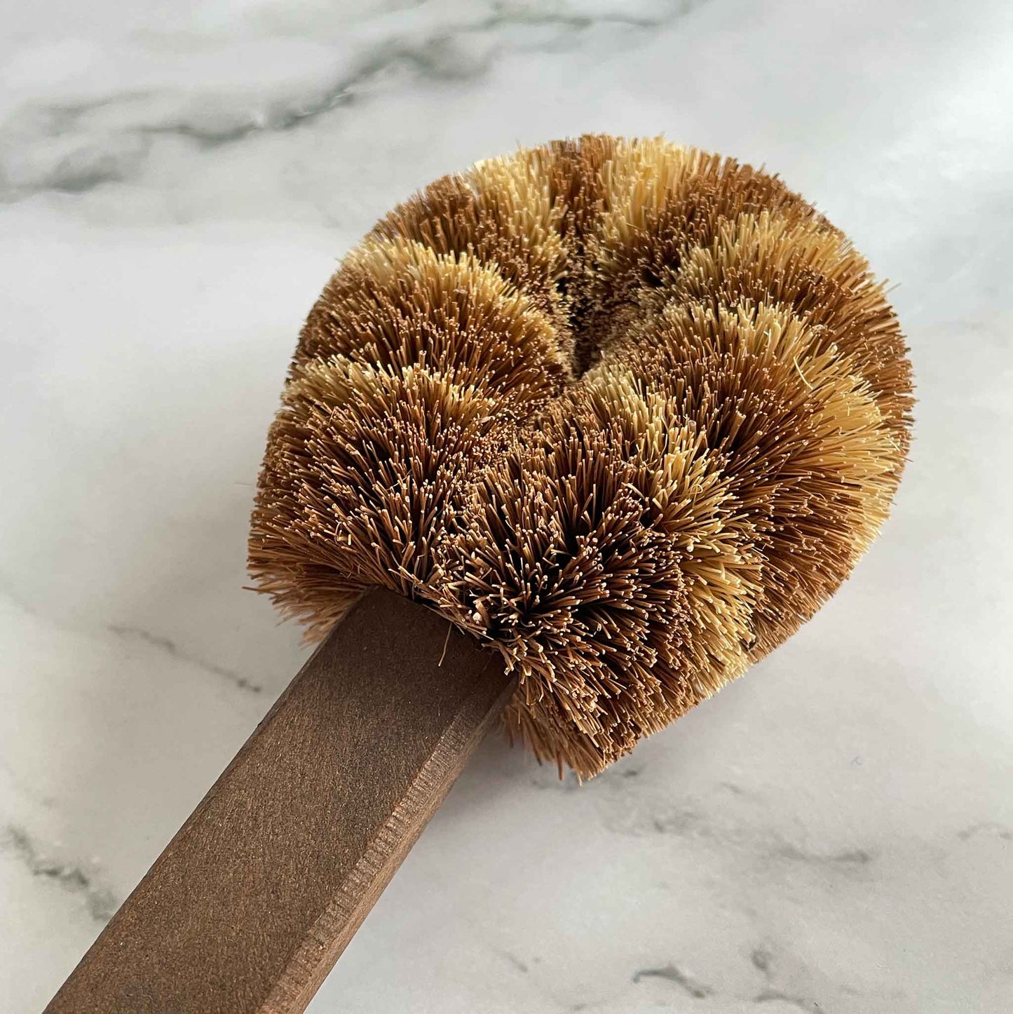 Close up of dish cleaning head brush on marble surface