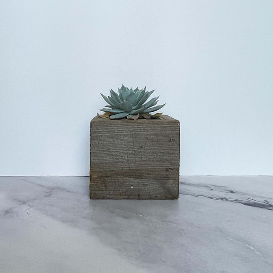 Reclaimed Wood Mini Square Planter With Small Plant In It