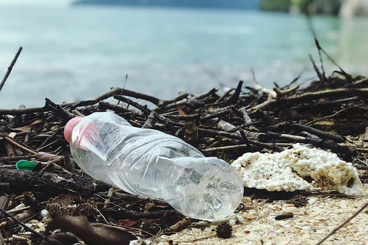 Join Us For #PlasticFreeJuly