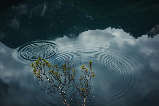 The Ripple Effect of Small Eco-Friendly Habits