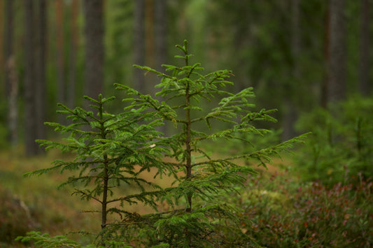 What Happens When Small Changes Add Up: The Power of Collective Impact