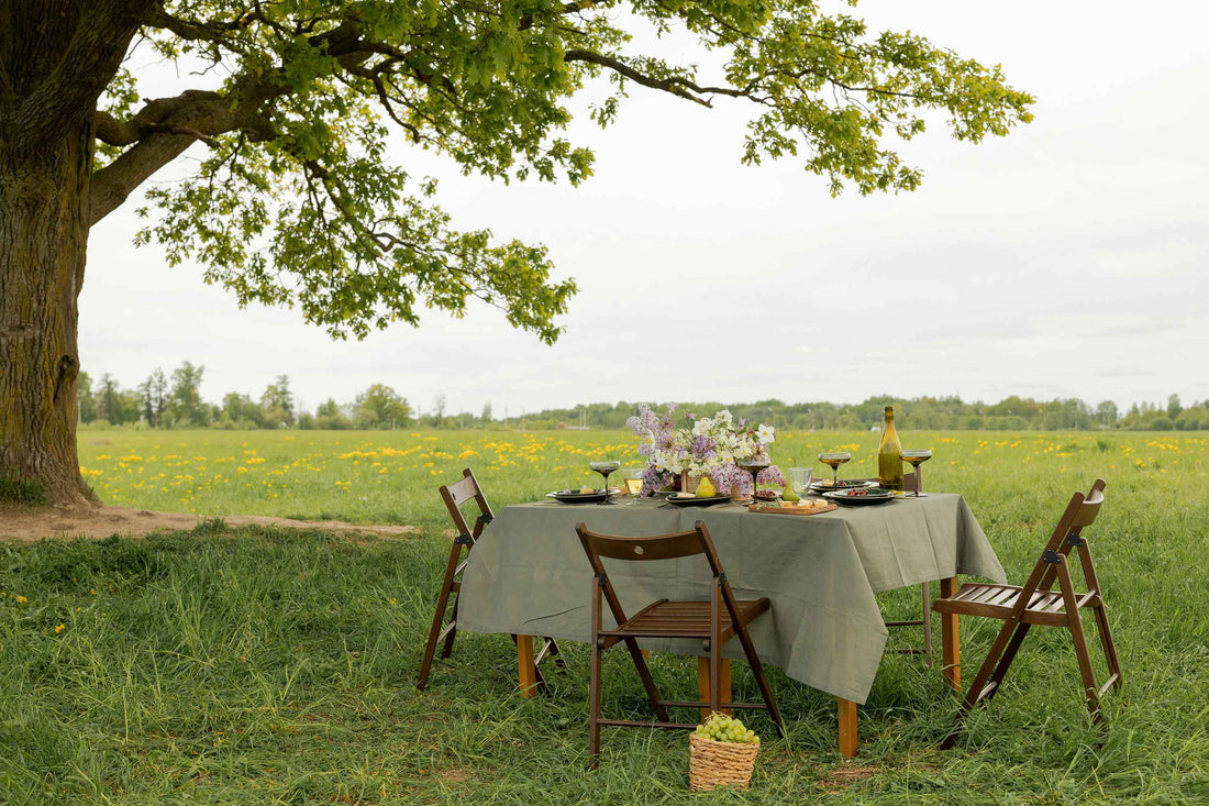 Eco-Friendly Date Ideas for a Greener Valentine’s Day