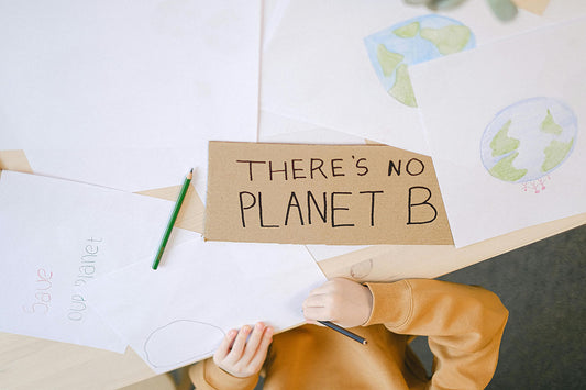 Child sitting at a desk drawing with a 'there is no planet B' sign