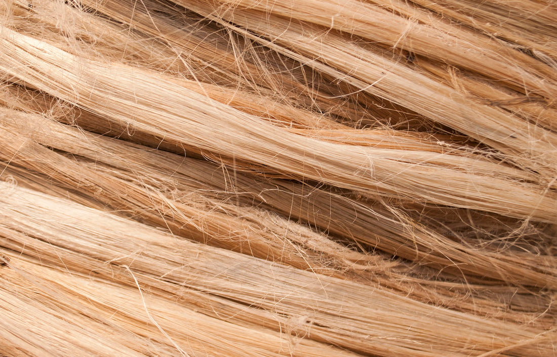 Natural vs. Organic: Understanding Loofah, Sisal, Cellulose, Bamboo, and Other Everyday Materials
