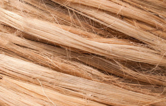 Natural vs. Organic: Understanding Loofah, Sisal, Cellulose, Bamboo, and Other Everyday Materials