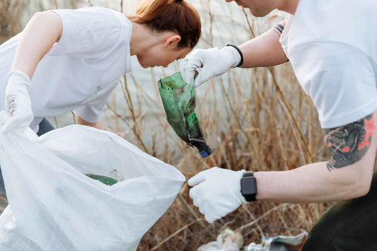 What Happens After World Environment Day?