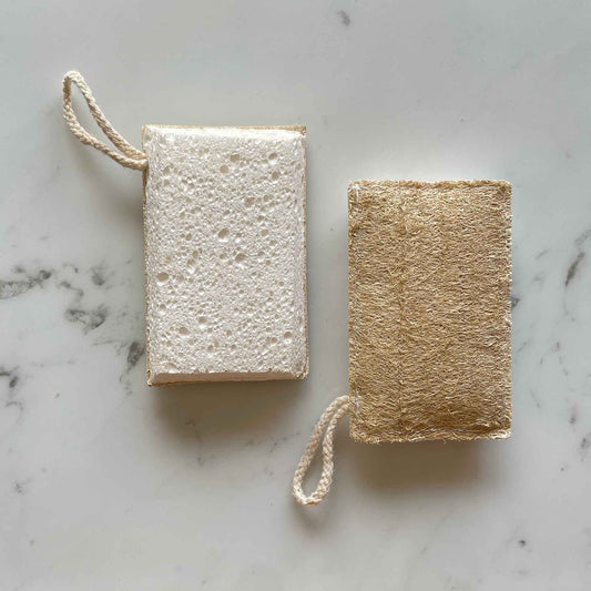 Loofah and Cellulose Sponge, front and back