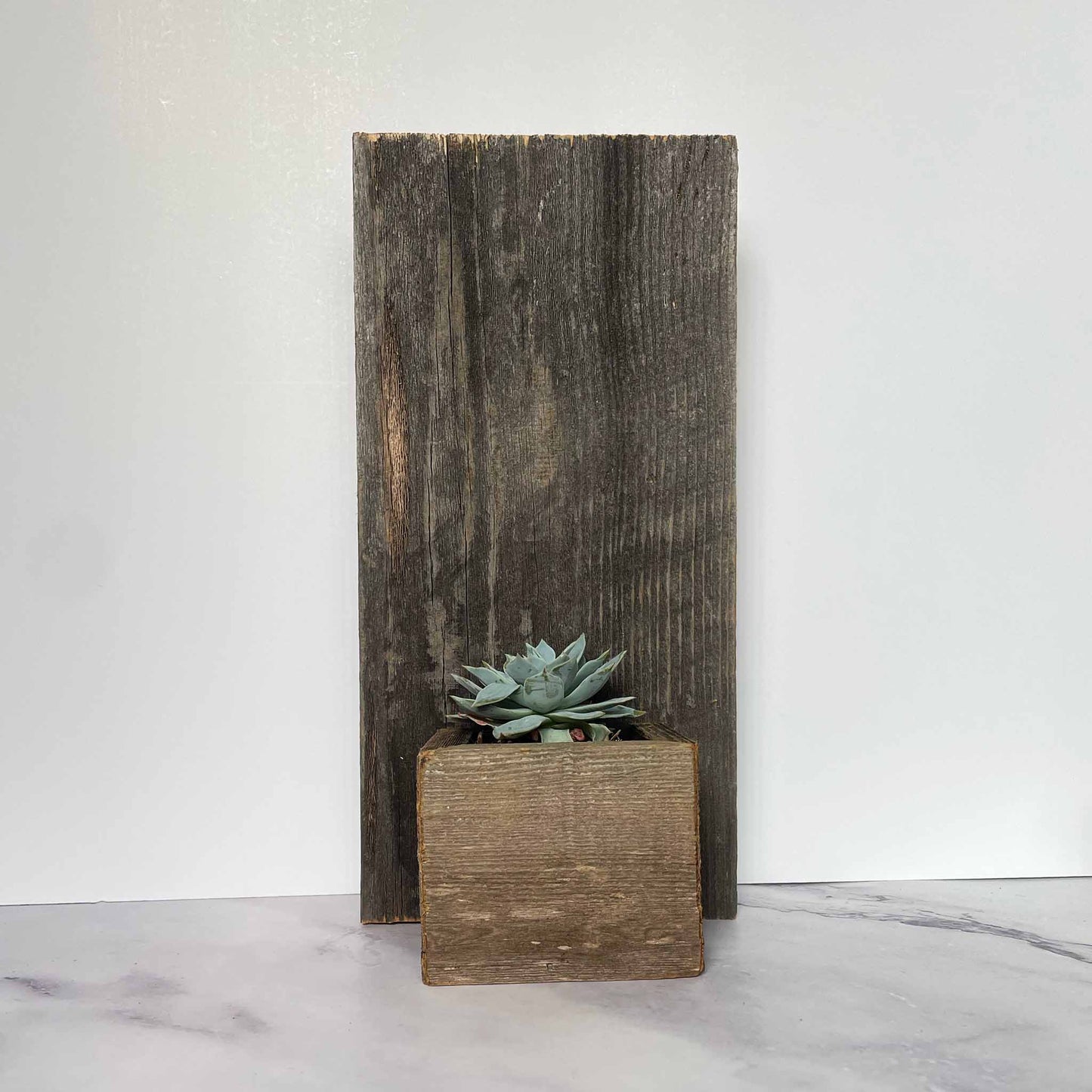 Reclaimed Wood Wall Mini Planter with small plant in it