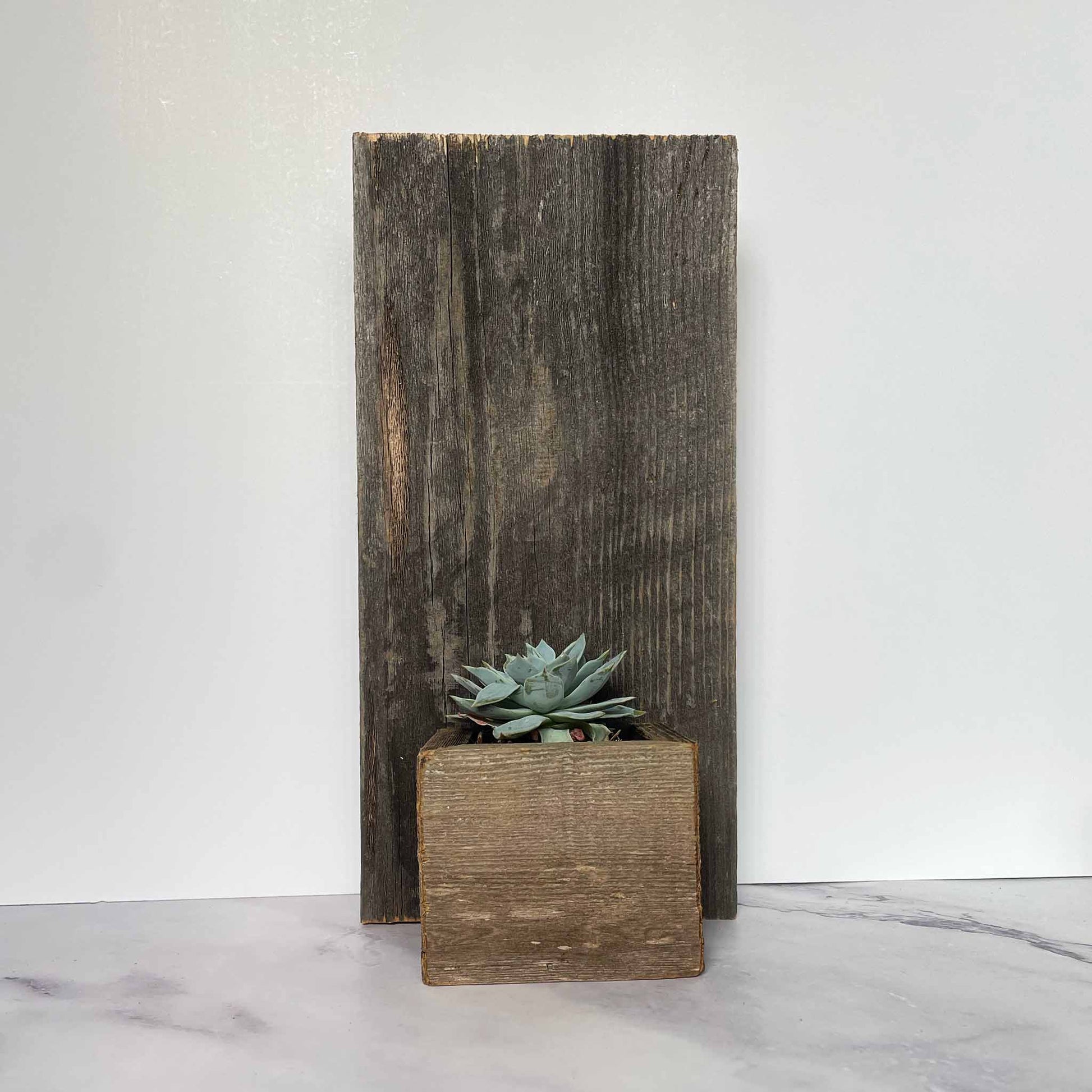 Reclaimed Wood Wall Mini Planter with small plant in it