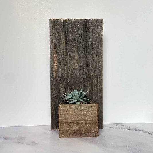 Reclaimed Wood Wall Mini Planter with small plant in it